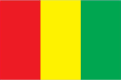Guinea flag