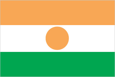 Niger flag